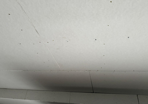 Trockenbau Seferi-Bau Altenstadt/Illertissen